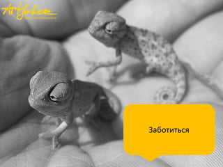 Заботиться

 