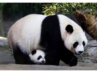 大足石刻世界巡展+首展台灣 