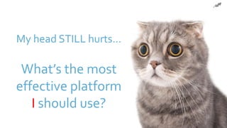 My head STILL hurts…
What’s the most
effective platform
I should use?
 