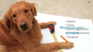 © 2017 Constant Contact, Inc
• Opens
• Clicks
• Event registrants
• Completed forms
• Coupons
Measure your
success
 