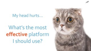 My head hurts…
What’s the most
effective platform
I should use?
 