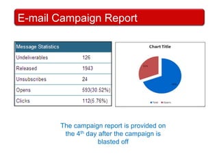  Providing comprehensive performance ReportingRequirements from the ClientObjective of the campaign