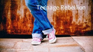 coachingprogramblueprint.com
Teenage Rebellion
 