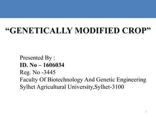 “GENETICALLY MODIFIED CROP”
Presented By :
ID. No – 1606034
Reg. No -3445
Faculty Of Biotechnology And Genetic Engineering
Sylhet Agricultural University,Sylhet-3100
1
 