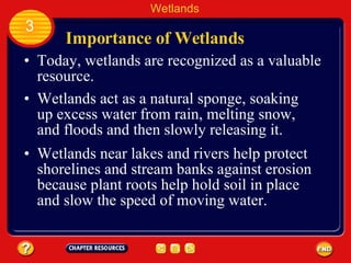Importance of Wetlands Today, wetlands are recognized as a valuable resource.  Wetlands 3 Wetlands act as a natural sponge, soaking up excess water from rain, melting snow, and floods and then slowly releasing it.  Wetlands near lakes and rivers help protect shorelines and stream banks against erosion because plant roots help hold soil in place and slow the speed of moving water.  