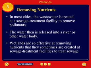 Removing Nutrients In most cities, the wastewater is treated at a sewage-treatment facility to remove pollutants.  Wetlands 3 The water then is released into a river or other water body.  Wetlands are so effective at removing nutrients that they sometimes are created at sewage-treatment facilities to treat sewage.  