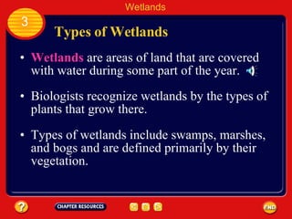 Types of Wetlands Wetlands  are areas of land that are covered with water during some part of the year.  Biologists recognize wetlands by the types of plants that grow there.  Wetlands 3 Types of wetlands include swamps, marshes, and bogs and are defined primarily by their vegetation. 