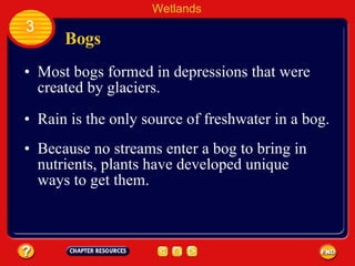 Bogs Most bogs formed in depressions that were created by glaciers. Rain is the only source of freshwater in a bog. Wetlands 3 Because no streams enter a bog to bring in nutrients, plants have developed unique ways to get them.  