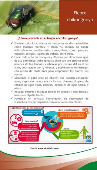 ¿Cómo prevenir en el hogar el chikungunya?
 Eliminar todos los criaderos de mosquitos en el intradomicilio,
como materas, floreros, y otros. Así mismo, en donde
habitualmente pueden estar susceptibles, como parques,
escuelas, colegios, lugares de trabajo, entre otros.
 Lavar cada ocho días tanques y albercas que almacenen agua
de uso doméstico. Debe aplicarse cloro con una esponja en las
paredes de los tanques y albercas por encima del nivel del
agua, dejar actuar por 15 minutos, y posteriormente restregar
con cepillo de cerda dura para desprender los huevos del
vector.
 Mantener el patio libre de objetos que puedan almacenar
agua, disposición adecuada de llantas, chatarra, limpieza de
canales de agua lluvia, charcos, depósitos de agua limpia, y
otros.
 Recoger basuras y residuos sólidos en predios y lotes baldíos,
mantener el patio limpio.
 Participar en jornadas comunitarias de recolección de
inservibles con participación comunitaria e intersectorial.
Fuente: www.minsalud.gov.co
Fiebre
chikungunya
 