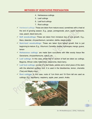 METHODS OF VEGETATIVE PROPAGATION
Dr. PB Mallikharjuna | GFGC, Yelahanka
5
4. Herbaceous cuttings
5. Leaf cuttings
6. Leaf bud cuttings
7. Root cuttings
 Hardwood cuttings: These are taken from mature wood, sometimes with a heel at
the end of growing season. E.g., grape, pomegranate, plum, apple rootstocks,
rose, peach, black berry etc.
 Soft woodcuttings: These are taken from immature tips of new growth. E,g.,
lilacs, oleander, chrysanthemum, carnation, dahlia, sweet potato.
 Semi-hard woodcuttings: These are taken from lateral growth that is just
beginning to mature. E.g., Viburnum, Camellia, Azalea, hydrangea, mango, guava,
lemon
 Herbaceous cuttings: are made from succulents with little woody tissue like
Geraniams, chrysanthemums, coleus, etc.
 Leaf cuttings: In this case, whole leaf or section of leaf are taken as cuttings.
Begonia, African violet, Kalanchoe, peperomia, black berry.
 Leaf bud cuttings: consist of a leaf blade, petiole and a short piece of the stem
with the attached auxiliary bud. It is used in the blackberries, lemon, chemelia
(Tea) and Maple crops.
 Root cuttings: In this case, roots of 1cm thick and 10-15cm tall are used as
cuttings. E.g., blackberry, raspberry, apple, pear, peach, Aralia.
 