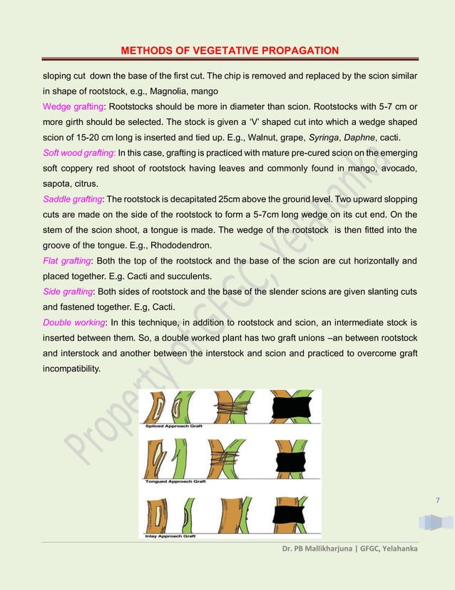 Methods of Vegetative Propagation | PDF | Infertility | Reproductive Health