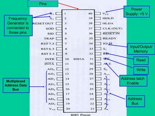 Pins
Frequency
Generator is
connected to
those pins
Power
Supply: +5 V
Address latch
Enable
Read
Write
Input/Output/
Memory
Multiplexed
Address Data
Bus
Address
Bus
 