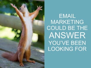 EMAIL
MARKETING
COULD BE THE
ANSWER
YOU’VE BEEN
LOOKING FOR
 