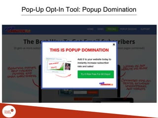 Pop-Up Opt-In Tool: Popup Domination
 