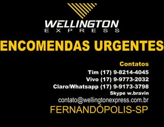 WELLINGTON EXPRESS TRANSPORTES