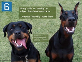 Using "daily" or "weekly" in
subject lines boost open rates
…whereas "monthly" hurts them.
Source: Adestra
Don’t dog your
customers with bland
emails. Sorry, I’ll just let
myself out.
 