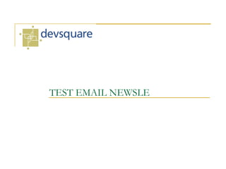 TEST EMAIL NEWSLE
 