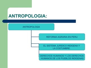 ANTROPOLOGIA:
ANTROPOLOGIA
REFORMA AGRARIA EN PERU
EL SISTEMA JURIDICO INDIGENA Y
LA COSTUMBRE.
DERECHOS HUMANOS Y LOS DER...