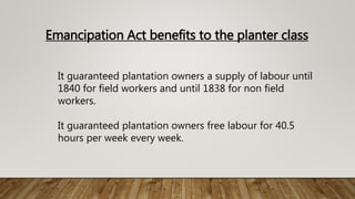 Emancipation Act benefits to the planter class
It guaranteed plantation owners a supply of labour until
1840 for field workers and until 1838 for non field
workers.
It guaranteed plantation owners free labour for 40.5
hours per week every week.
 