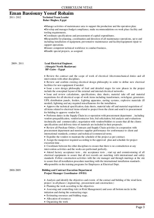 team leader cv