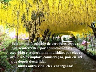 Pela minha faculdade de ver, pelos cegos eu 
quero interceder, por aqueles que vivem na 
escuridão e tropeçam na multidão, por eles eu 
oro e a Vós imploro comiseração, pois eu sei 
que depois dessa lida, 
numa outra vida, eles enxergarão! 
 