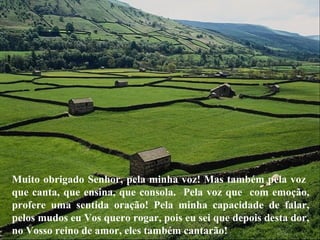 Muito obrigado Senhor, pela minha voz! Mas também pela voz 
que canta, que ensina, que consola. Pela voz que com emoção, 
profere uma sentida oração! Pela minha capacidade de falar, 
pelos mudos eu Vos quero rogar, pois eu sei que depois desta dor, 
no Vosso reino de amor, eles também cantarão! 
 