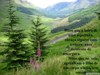 Mãos que a beira de
uma sepultura,
abraça alguém com
ternura, num
momento de
amargura.
Mãos que no seio,
agasalham o filho de
um corpo alheio, sem
receio.
 