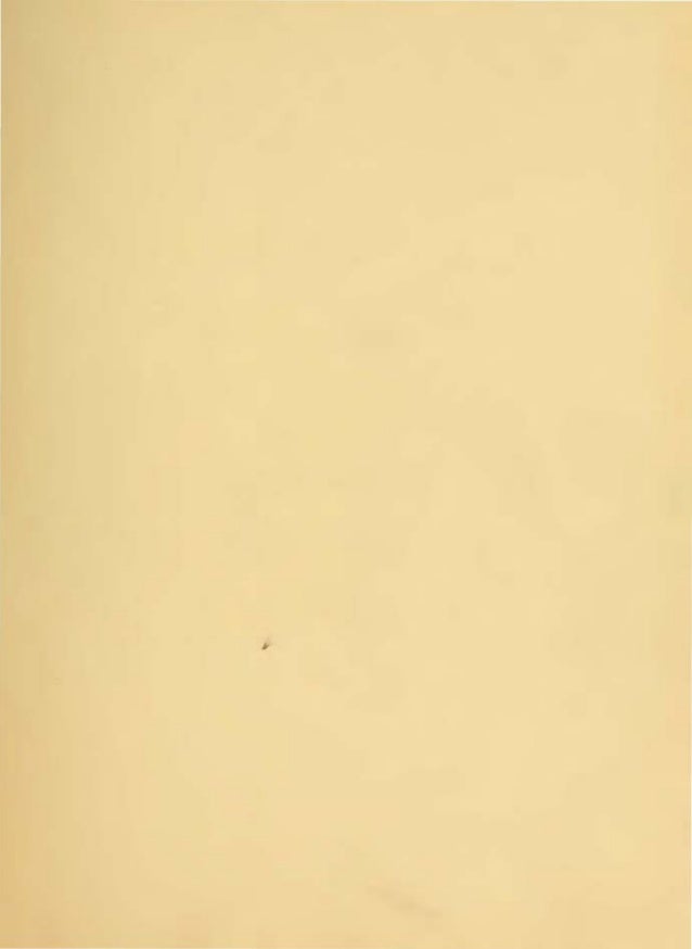 Emanuel Swedenborg The Servant Of The Lord A True Story For - 