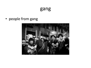 gang
• people from gang
 
