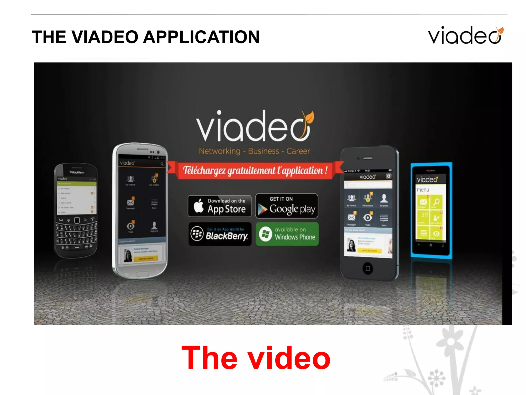 THE VIADEO APPLICATION




              The video
 