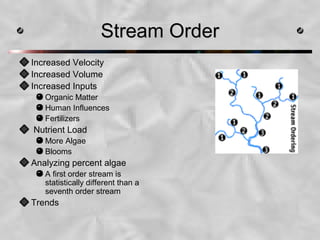 Stream OrderStream Order
Increased Velocity
Increased Volume
Increased Inputs
Organic Matter
Human Influences
Fertilizers
Nutrient Load
More Algae
Blooms
Analyzing percent algae
A first order stream is
statistically different than a
seventh order stream
Trends
 