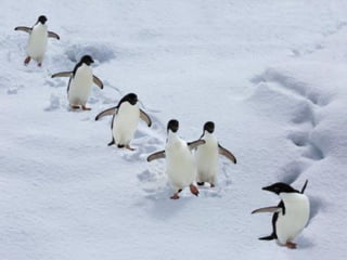 ©2015 RapidMiner, Inc. All rights reserved. - 16 -
 