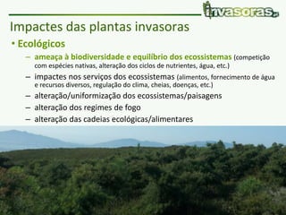 Pataias | 8 Fevereiro 2018 | Plantas invasoras e fogo www.invasoras.pt
• Ecológicos
– ameaça à biodiversidade e equilíbrio dos ecossistemas (competição
com espécies nativas, alteração dos ciclos de nutrientes, água, etc.)
– impactes nos serviços dos ecossistemas (alimentos, fornecimento de água
e recursos diversos, regulação do clima, cheias, doenças, etc.)
– alteração/uniformização dos ecossistemas/paisagens
– alteração dos regimes de fogo
– alteração das cadeias ecológicas/alimentares
• Económicos (Europa: > 12 000 milhões €/ano, EC 2008):
– produtividade - espécies que invadem áreas agrícolas, florestais ou
piscícolas (aquáticas), pragas, epidemias, etc.
– gestão e controlo de invasoras e recuperação de sistemas invadidos
– turismo, etc.
Impactes das plantas invasoras
 