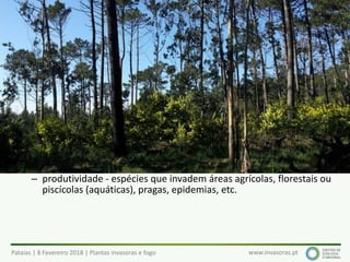 Pataias | 8 Fevereiro 2018 | Plantas invasoras e fogo www.invasoras.pt
• Ecológicos
– ameaça à biodiversidade e equilíbrio dos ecossistemas (competição
com espécies nativas, alteração dos ciclos de nutrientes, água, etc.)
– impactes nos serviços dos ecossistemas (alimentos, fornecimento de água
e recursos diversos, regulação do clima, cheias, doenças, etc.)
– alteração/uniformização dos ecossistemas/paisagens
– alteração dos regimes de fogo
– alteração das cadeias ecológicas/alimentares
• Económicos (Europa: > 12 000 milhões €/ano, EC 2008):
– produtividade - espécies que invadem áreas agrícolas, florestais ou
piscícolas (aquáticas), pragas, epidemias, etc.
Impactes das plantas invasoras (1)
 