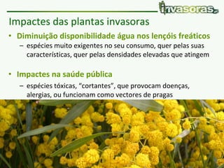 Pataias | 8 Fevereiro 2018 | Plantas invasoras e fogo www.invasoras.pt
• Diminuição disponibilidade água nos lençóis freáticos
– espécies muito exigentes no seu consumo, quer pelas suas
características, quer pelas densidades elevadas que atingem
• Impactes na saúde pública
– espécies tóxicas, “cortantes”, que provocam doenças,
alergias, ou funcionam como vectores de pragas
Impactes das plantas invasoras
 