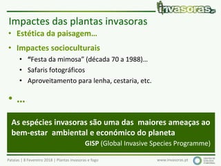 Pataias | 8 Fevereiro 2018 | Plantas invasoras e fogo www.invasoras.pt
• Estética da paisagem…
• Impactes socioculturais
• “Festa da mimosa” (década 70 a 1988)…
• Safaris fotográficos
• Aproveitamento para lenha, cestaria, etc.
• …
Impactes das plantas invasoras
As espécies invasoras são uma das maiores ameaças ao
bem-estar ambiental e económico do planeta
GISP (Global Invasive Species Programme)
 