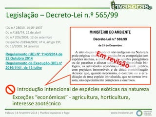 Pataias | 8 Fevereiro 2018 | Plantas invasoras e fogo www.invasoras.pt
Legislação – Decreto-Lei n.º 565/99
Introdução intencional de espécies exóticas na natureza
Exceções “económicas” - agricultura, horticultura,
interesse zootécnico
(DL n.º 28039, 14-09-1937
DL n.º165/74, 22 de abril
DL n.º 205/2003, 12 de setembro
Despacho 20194/2009; nº 4, artigo 19º,
DL 16/2009, 14 janeiro)
Regulamento (UE) Nº 1143/2014 de
22 Outubro 2014
Regulamento de Execução (UE) nº
2016/1141, de 13 julho

 