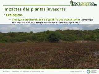 Pataias | 8 Fevereiro 2018 | Plantas invasoras e fogo www.invasoras.pt
• Ecológicos
– ameaça à biodiversidade e equilíbrio dos ecossistemas (competição
com espécies nativas, alteração dos ciclos de nutrientes, água, etc.)
– impactes nos serviços dos ecossistemas (alimentos, fornecimento de água
e recursos diversos, regulação do clima, cheias, doenças, etc.)
– alteração/uniformização dos ecossistemas/paisagens
– alteração dos regimes de fogo
– alteração das cadeias ecológicas/alimentares
• Económicos (Europa: > 12 000 milhões €/ano, EC 2008):
– produtividade - espécies que invadem áreas agrícolas, florestais ou
piscícolas (aquáticas), pragas, epidemias, etc.
– gestão e controlo de invasoras e recuperação de sistemas invadidos
– turismo, etc.
Impactes das plantas invasoras
 