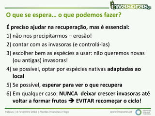 Pataias | 8 Fevereiro 2018 | Plantas invasoras e fogo www.invasoras.pt
O que se espera… o que podemos fazer?
É preciso ajudar na recuperação, mas é essencial:
1) não nos precipitarmos – erosão!
2) contar com as invasoras (e controlá-las)
3) escolher bem as espécies a usar: não queremos novas
(ou antigas) invasoras!
4) se possível, optar por espécies nativas adaptadas ao
local
5) Se possível, esperar para ver o que recupera
6) Em qualquer caso: NUNCA deixar crescer invasoras até
voltar a formar frutos  EVITAR recomeçar o ciclo!
 