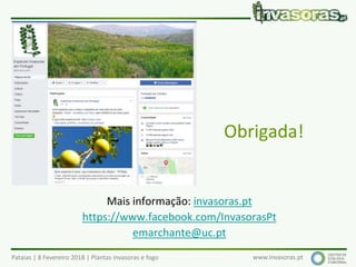 Pataias | 8 Fevereiro 2018 | Plantas invasoras e fogo www.invasoras.pt
Obrigada!
Mais informação: invasoras.pt
https://www.facebook.com/InvasorasPt
emarchante@uc.pt
 