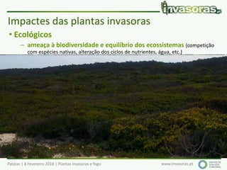 Pataias | 8 Fevereiro 2018 | Plantas invasoras e fogo www.invasoras.pt
• Ecológicos
– ameaça à biodiversidade e equilíbrio dos ecossistemas (competição
com espécies nativas, alteração dos ciclos de nutrientes, água, etc.)
– impactes nos serviços dos ecossistemas (alimentos, fornecimento de água
e recursos diversos, regulação do clima, cheias, doenças, etc.)
– alteração/uniformização dos ecossistemas/paisagens
– alteração dos regimes de fogo
– alteração das cadeias ecológicas/alimentares
• Económicos (Europa: > 12 000 milhões €/ano, EC 2008):
– produtividade - espécies que invadem áreas agrícolas, florestais ou
piscícolas (aquáticas), pragas, epidemias, etc.
– gestão e controlo de invasoras e recuperação de sistemas invadidos
– turismo, etc.
Impactes das plantas invasoras
 