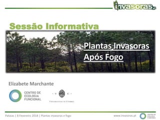 Pataias | 8 Fevereiro 2018 | Plantas invasoras e fogo www.invasoras.pt
Plantas invasoras e fogo
Elizabete Marchante
 