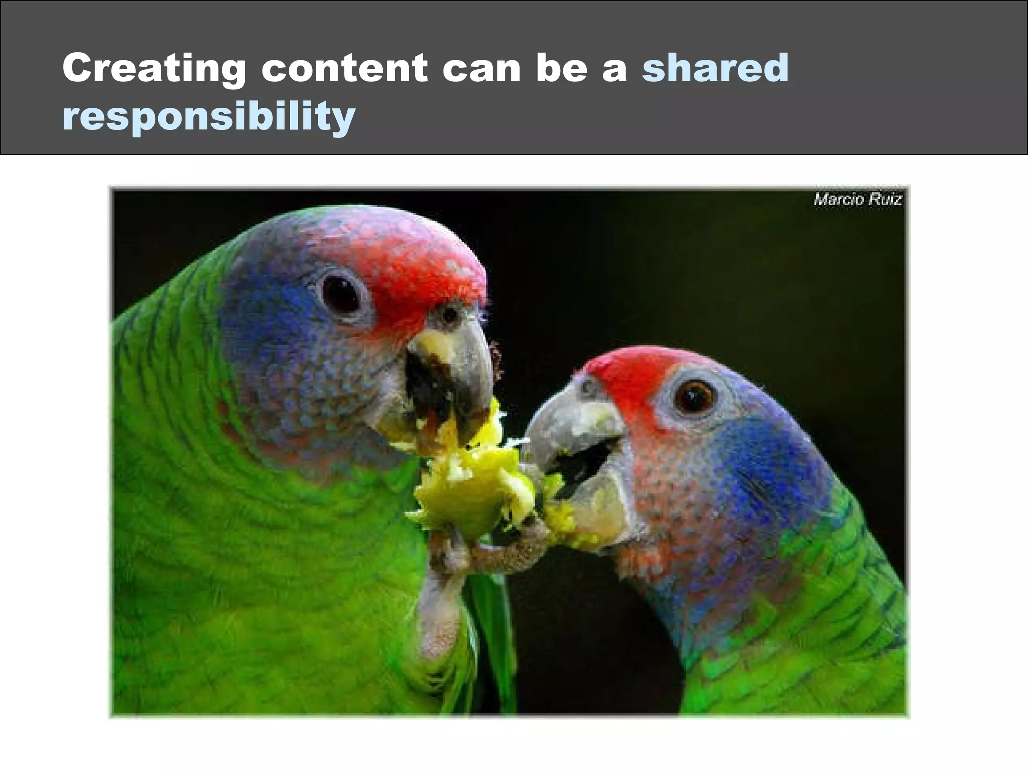 Creating content can be a  shared   responsibility 