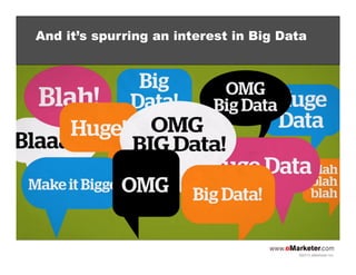 And it’s spurring an interest in Big Data

©2013 eMarketer Inc.

 