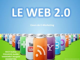 LE WEB 2.0
                     Cours de E-Marketing




   BACH Audrey
 POILVACHE Aurélie
VANDENRIJT Morgane
   3MARKETING
 