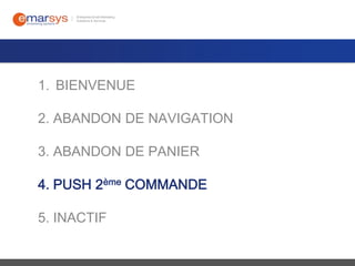 1. BIENVENUE
2. ABANDON DE NAVIGATION
3. ABANDON DE PANIER
4. PUSH 2ème COMMANDE
5. INACTIF

 