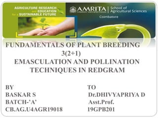 FUNDAMENTALS OF PLANT BREEDING
3(2+1)
EMASCULATION AND POLLINATION
TECHNIQUES IN REDGRAM
BY TO
BASKAR S Dr.DHIVYAPRIYA D
BATCH-’A’ Asst.Prof.
CB.AG.U4AGR19018 19GPB201
 