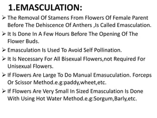 1.EMASCULATION:
 The Removal Of Stamens From Flowers Of Female Parent
Before The Dehiscence Of Anthers ,Is Called Emasculation.
 It Is Done In A Few Hours Before The Opening Of The
Flower Buds.
 Emasculation Is Used To Avoid Self Pollination.
 It Is Necessary For All Bisexual Flowers,not Required For
Unisexual Flowers.
 If Flowers Are Large To Do Manual Emasuculation. Forceps
Or Scissor Method.e.g:paddy,wheet,etc.
 If Flowers Are Very Small In Sized Emasculation Is Done
With Using Hot Water Method.e.g:Sorgum,Barly,etc.
 
