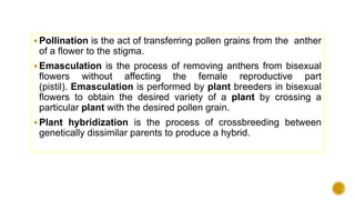  Pollination is the act of transferring pollen grains from the anther
of a flower to the stigma.
 Emasculation is the process of removing anthers from bisexual
flowers without affecting the female reproductive part
(pistil). Emasculation is performed by plant breeders in bisexual
flowers to obtain the desired variety of a plant by crossing a
particular plant with the desired pollen grain.
 Plant hybridization is the process of crossbreeding between
genetically dissimilar parents to produce a hybrid.
 
