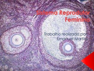 Sistema Reprodutor Feminino Trabalho realizado por: Emanuel Martins 